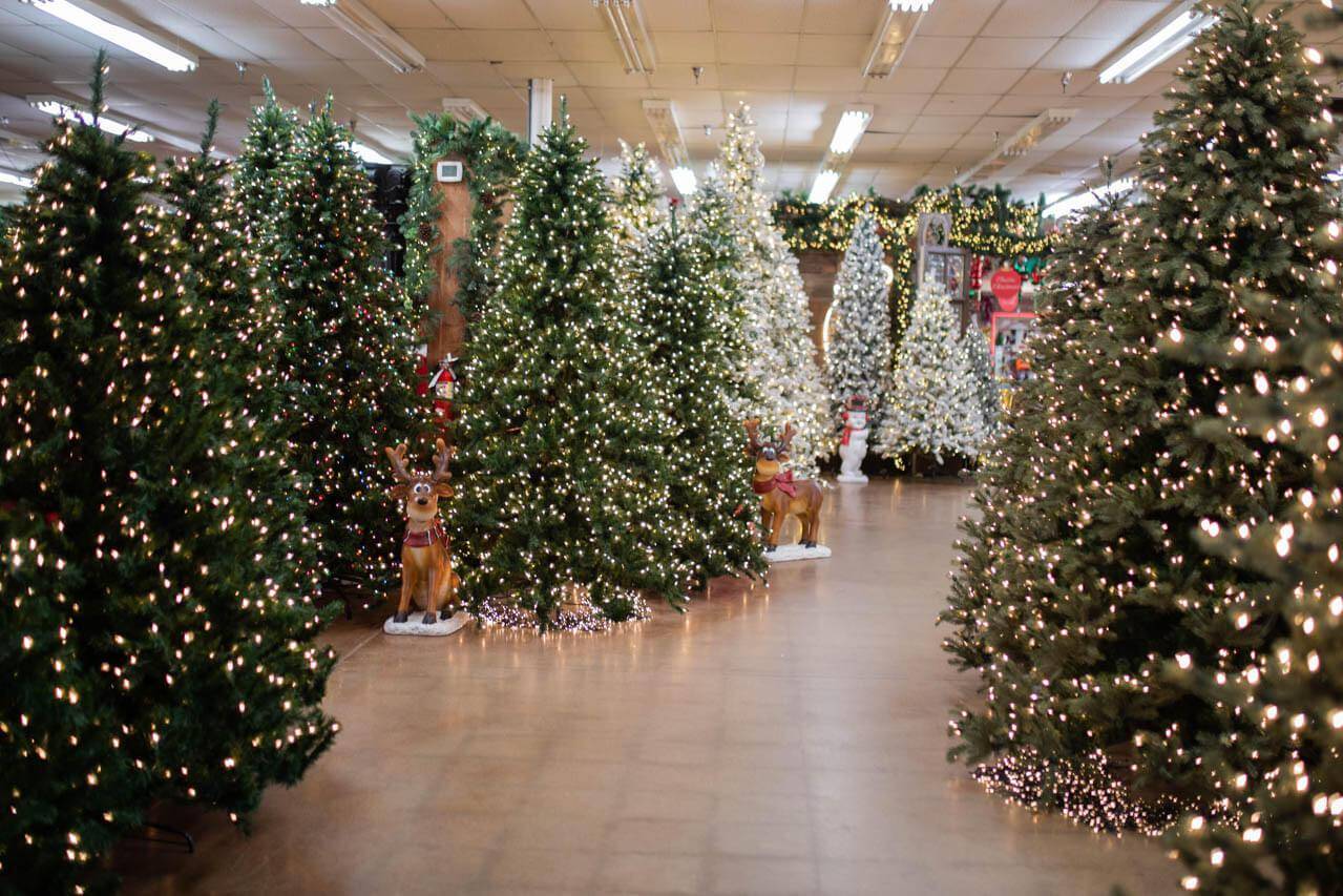 Alberi di Natale